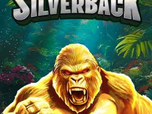 Wild Silverback